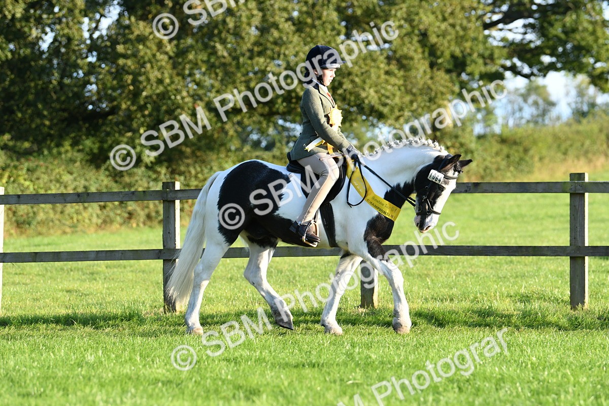 SBM_56422 - 1st Ridden Supreme Championship