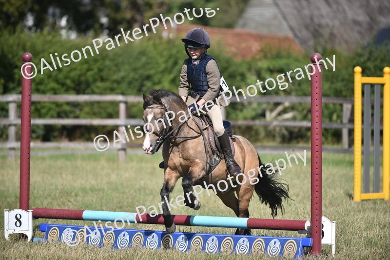 20260906-1417 - Class 8 - Hoof and Foot