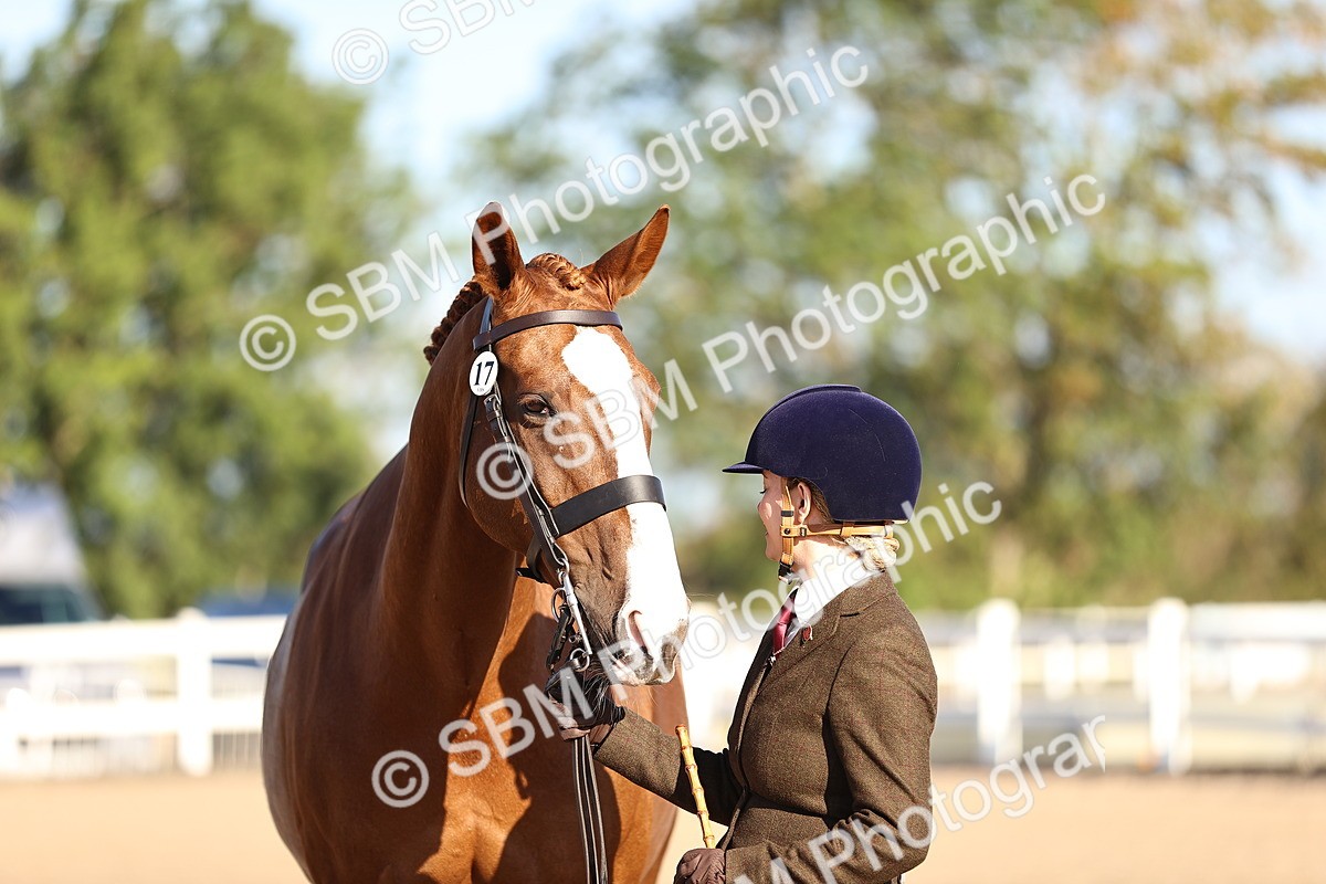 SBM_08382 - Class 401 - IH Veteran Horse