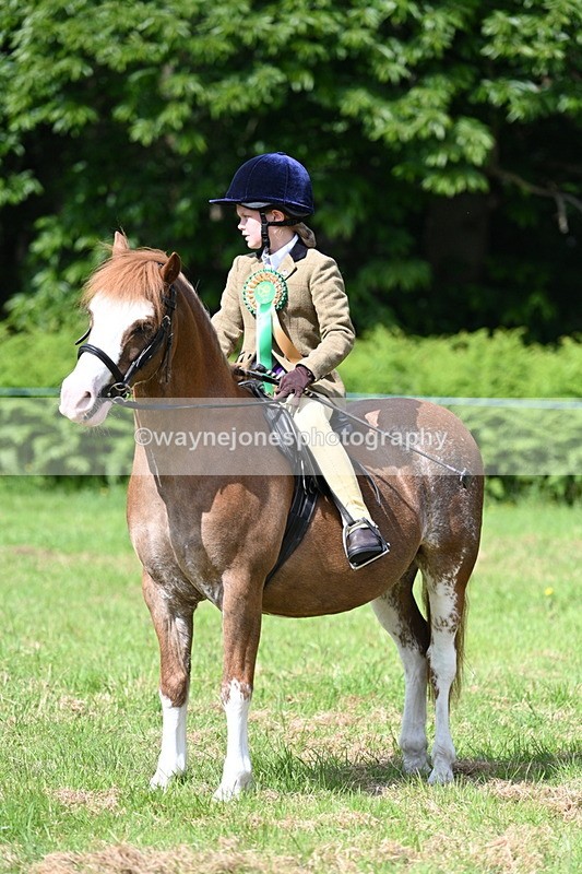 WJ7_0918 - Class 8 First Rally Pony