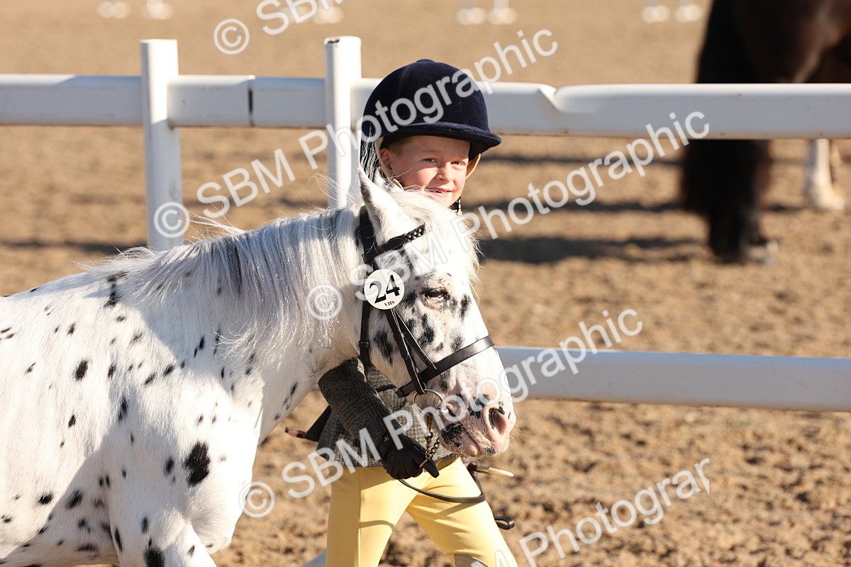 SBM_11621 - Class 203 - Young Handler 11 to 16 years