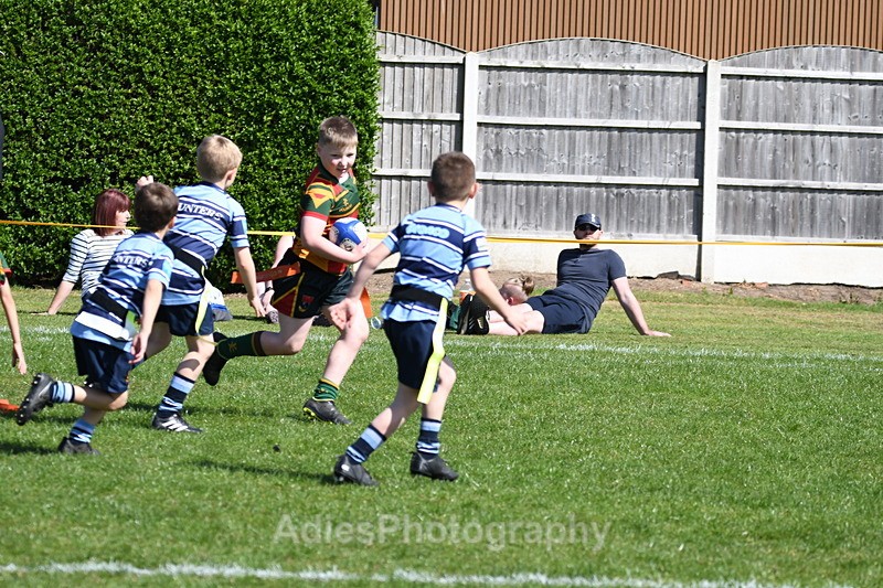  - Selby Rugby Festival 2025