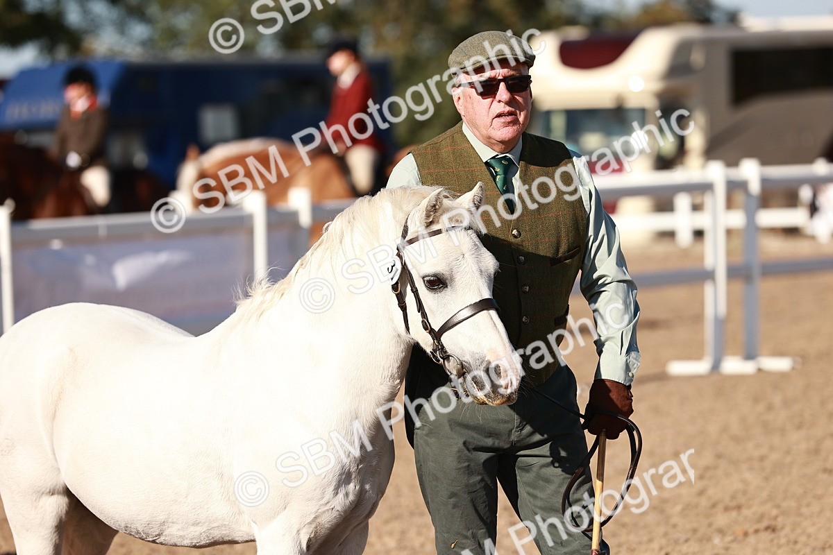 SBM_11440 - Class 402 - IH  Veteran pony