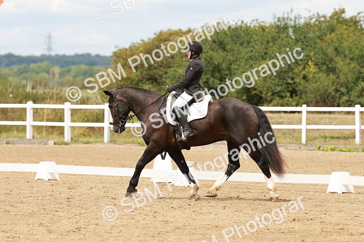 SBM_001389 - Class 4 - Novice 5