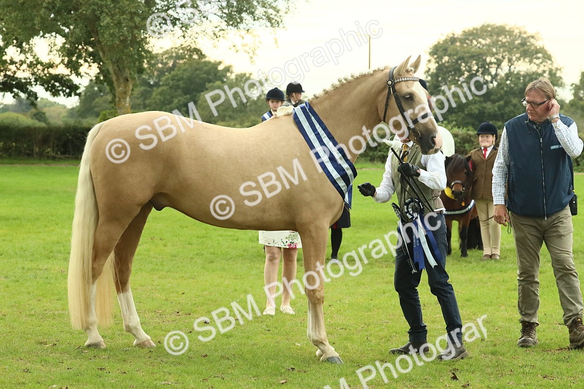 SBM_75185 - Super Supreme Championship