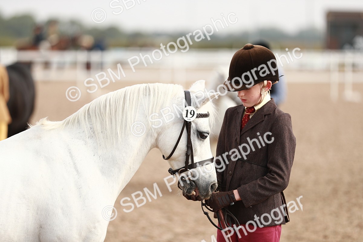 SBM_10560 - Class 204 Young Handler, 11-16 years