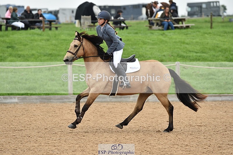 230902A-113804-00782 - Cls 2B Pony Small 80cm