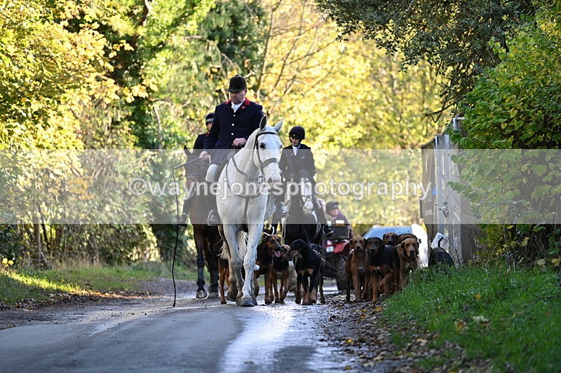 WJ7_8606 - Walk Home