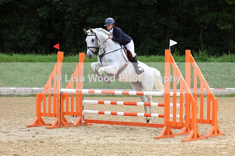 3E7A6080 - Class 4: Senior British Novice/90cm open