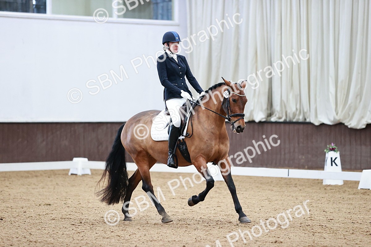 SBM_000917 - Class 2-5-4-6 - Paso Doble-Golega-Novato-Sevilla - FSM