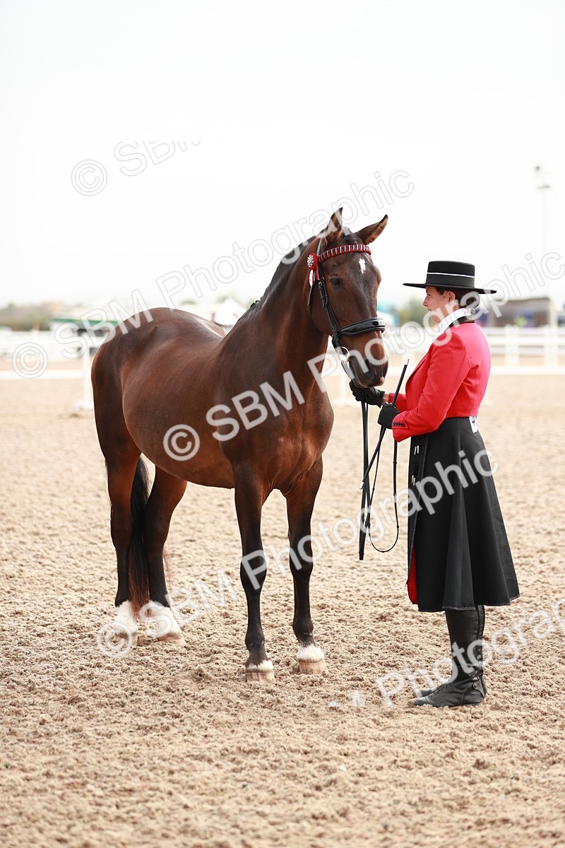 SBM_09556 - Class 201 Best Turned Out IH