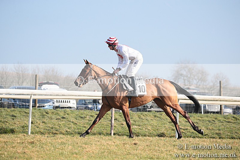 PtP 230219 20 - Vine & Craven Point-To-Point - Barbury 23/02/19