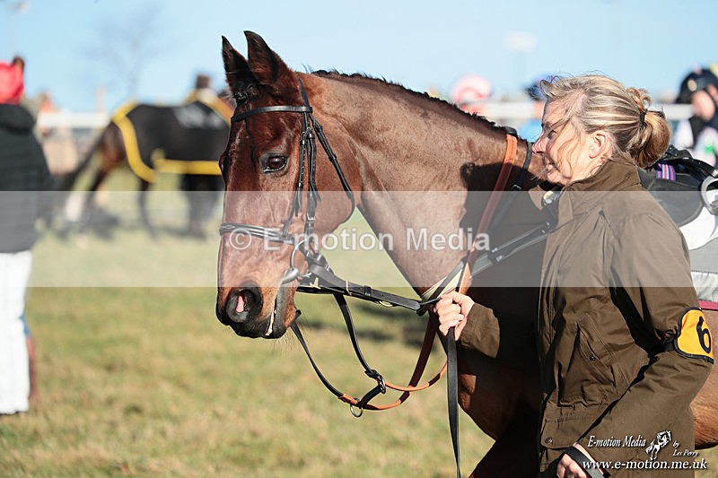 PR PtP 240126 252 - Pony Racing Horseheath 24/01/26