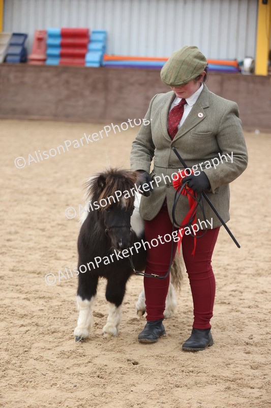 20251109-0180 - Class 9 - Foals