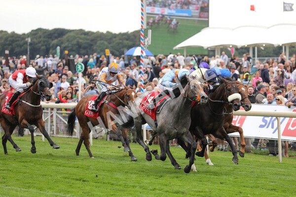 yr18082022r2-35 - Race 2 2.25pm Goffs UK Harry Beeby Premier Yearling Stakes
