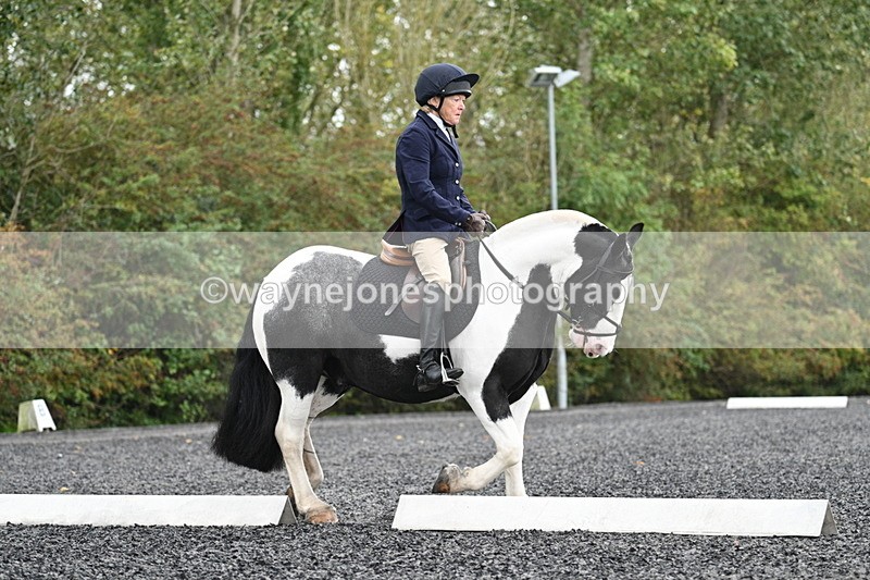 WJ7_3188 - Time 09:54 to 10:54