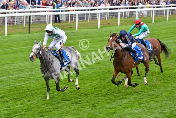 yr18082022r4-41 - Race 4 3.35pm Darley Yorkshire Oaks (British Champions Series Race)