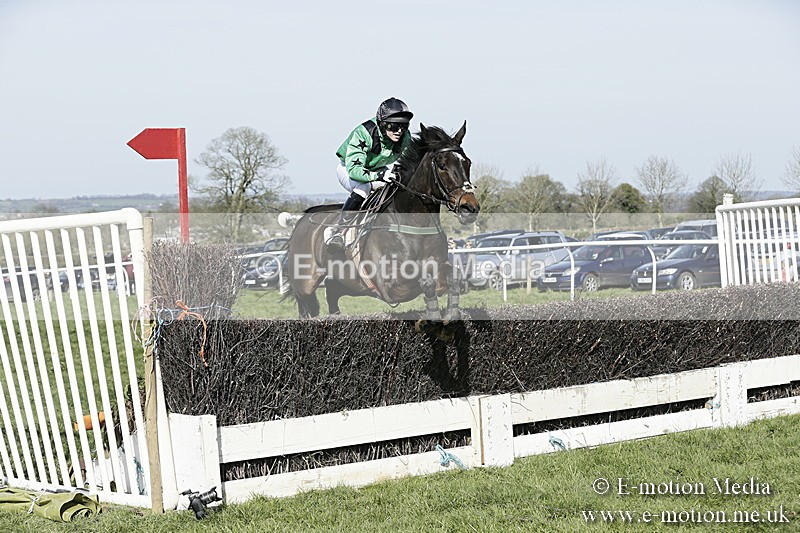 PtP 260317 296 - Mendip Farmers Point-to-Point Ston Easton 26/03/17