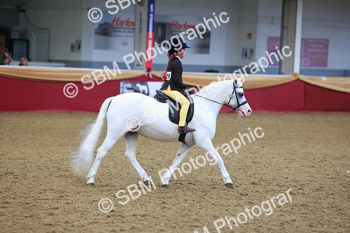 SBM_10698 - Class 103 - HOYS Veteran Qualifier - Ridden Pre Vet