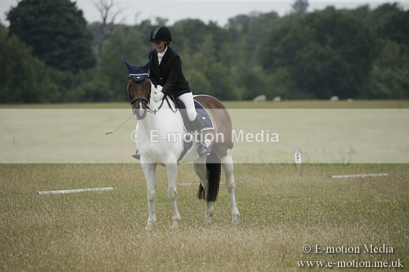 B230619-0654 - Bourne Valley Riding Club Summer Show 23/06/19