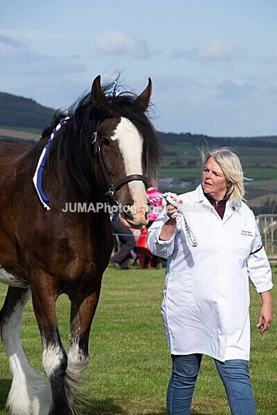 DSC_0106 - Ring 1