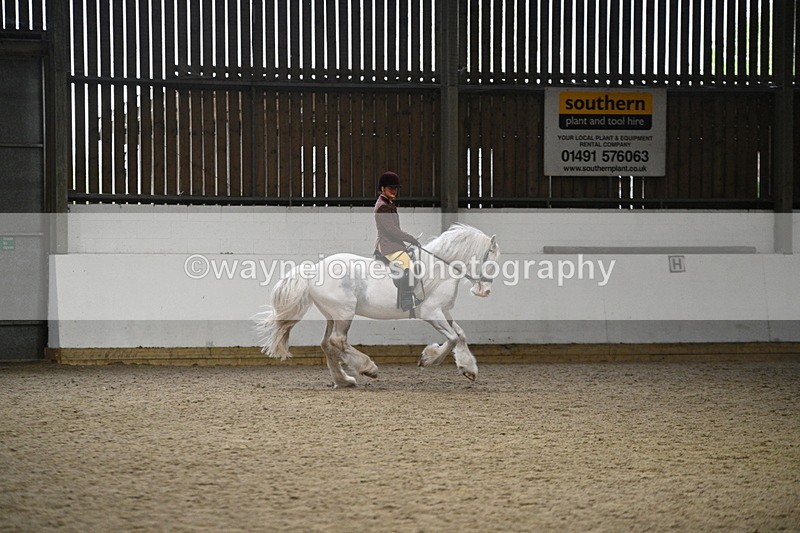 WJ7_3744 - Class 16 Ridden Coloured/ Odd Coloured