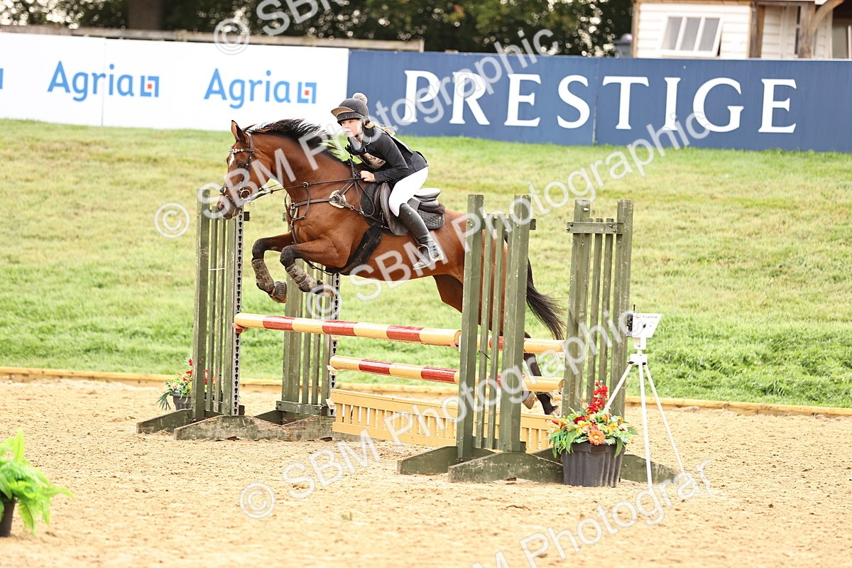 SBM_58388 - J41 - Grand Tour Horse & Pony 95cm