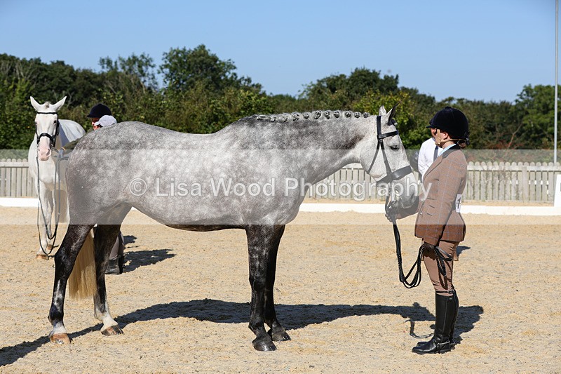 1X9A7823 - Class 9: Open Ridden Hunter