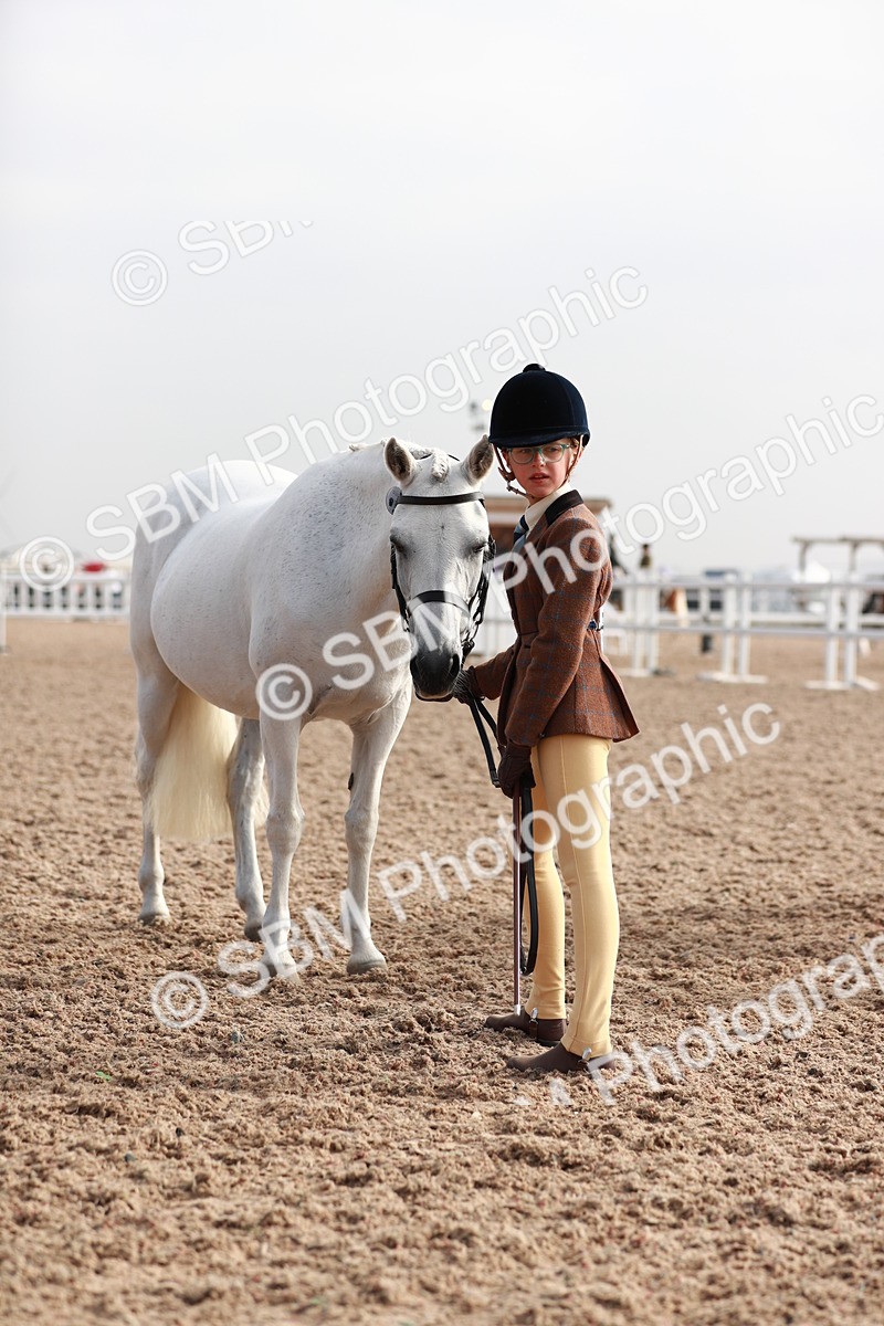 SBM_09912 - Class 203 Young Handler, 10 years and under