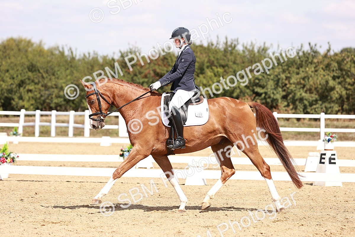 SBM_018446 - Class 17 - Novice 6