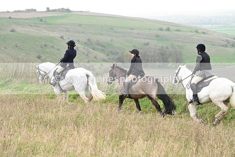 WJ7_0084 - Camera 1 & Last fence