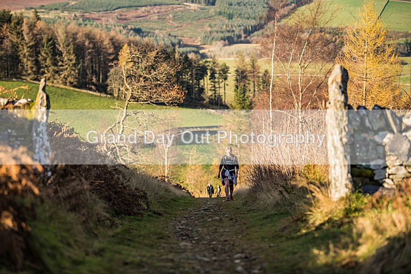 Tweed Valley-774 - High Terrain Events Tweed Valley 50 & 65K Ultra Trail Races Sunday 16th November 2025