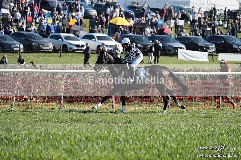 PtP 210326 302 - VWH Cirencester Races 21/03/26