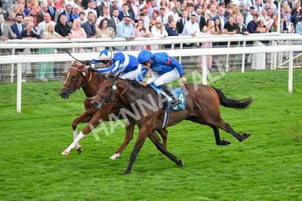 230825-Race 6-Revival Power-0840 - Race 6 4.45pm Julia Graves Roses Stakes
