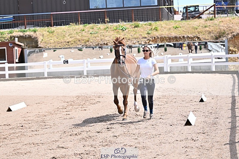 250716-124143-00117 - Trot Up 12.30 to 1.30