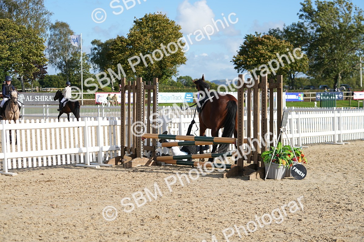 SBM_51148 - J8 - Junior Pony 65cm Championship