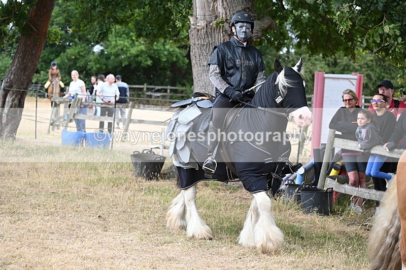 WJ6_8915 - Class 11 Fancy Dress