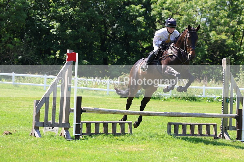 3E7A7053 - Class 30: Novice Working Hunter