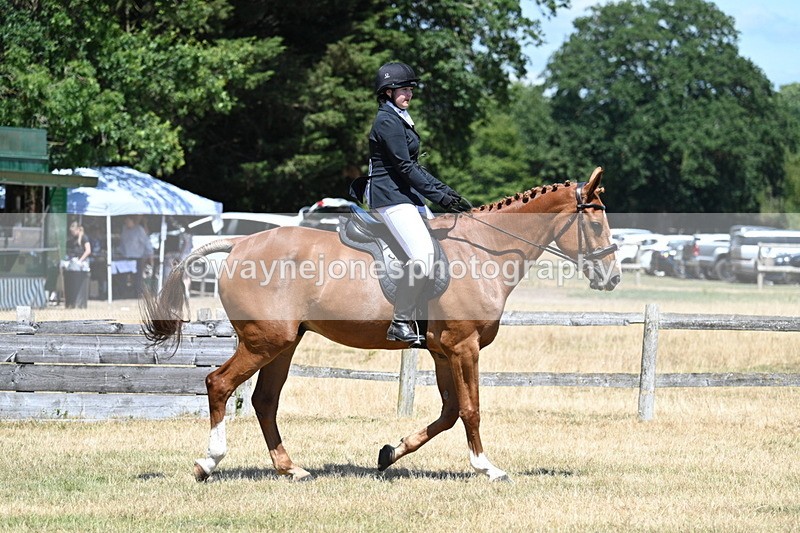 WJ7_2861 - Class 7 Riding Club Show Horse
