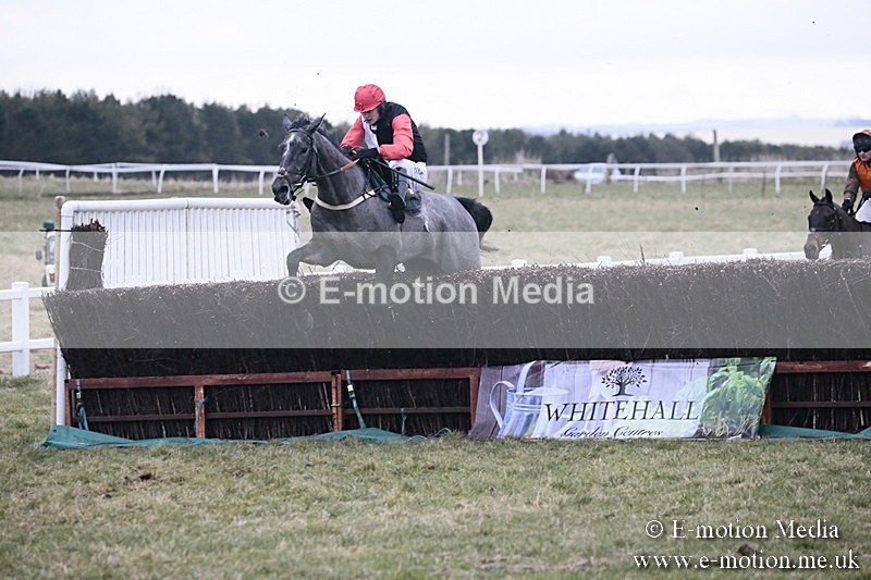 PtP 180218 877 - Combined Services Point-to-Point Larkhill 18/02/18