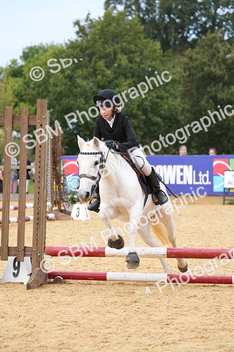 SBM_70746 - J3 - Mini Tour Junior Pony 40cm Championship