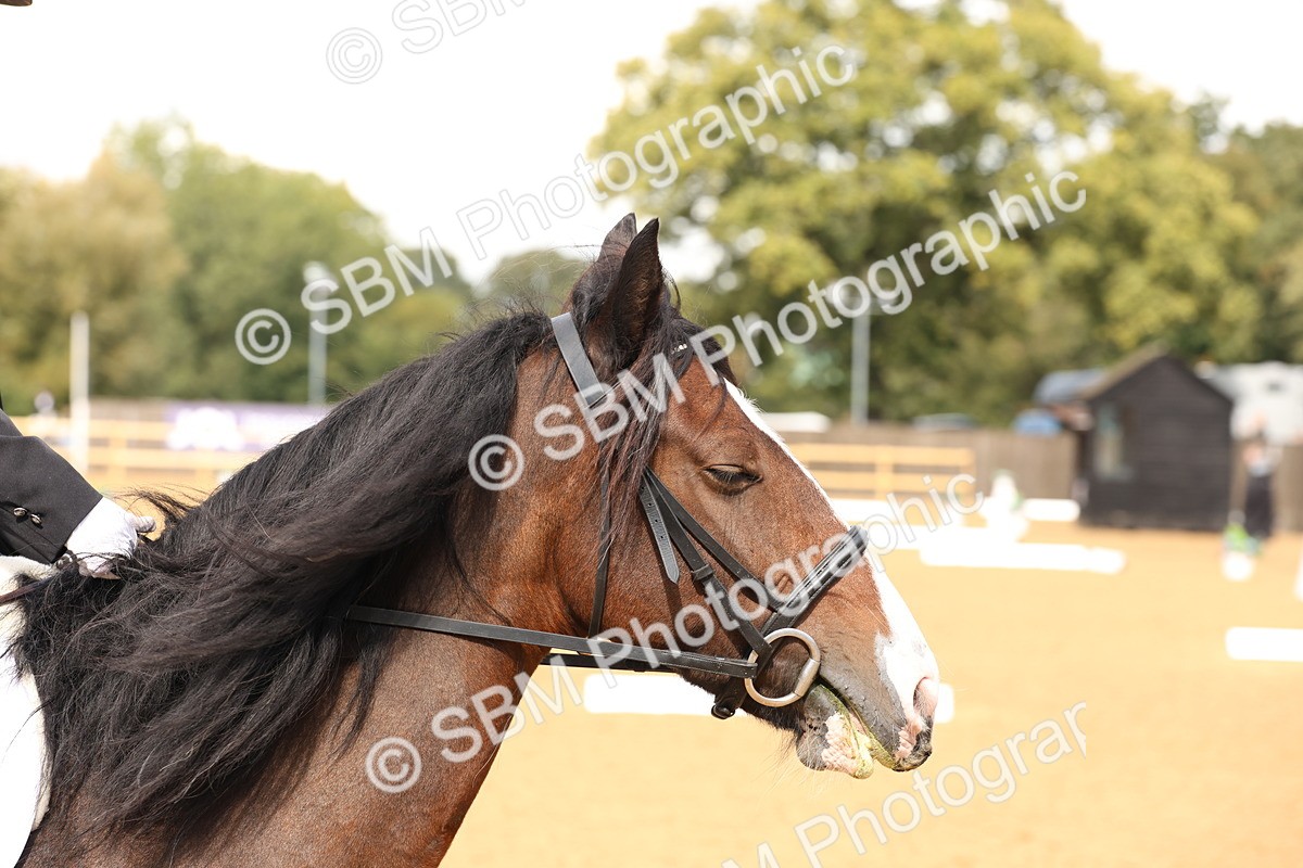 SBM_44197 - D6 - Small Tour Championship Intro 4