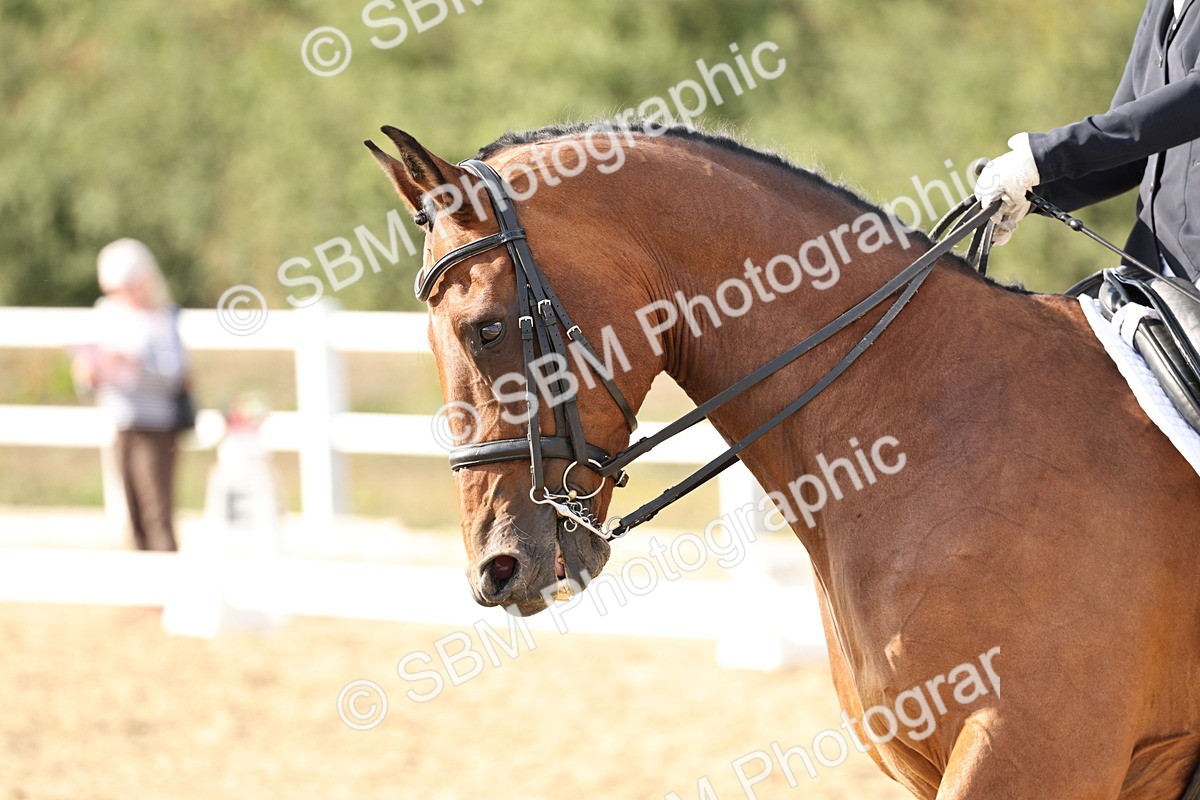 SBM_015423 - Class 9 - Advanced medium 3