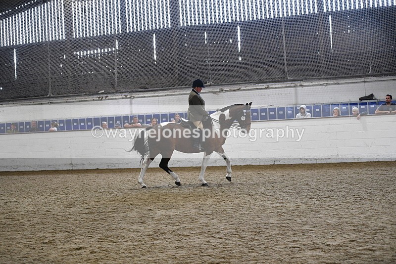 WJ5_6043 - Class 9 Ridden Veteran