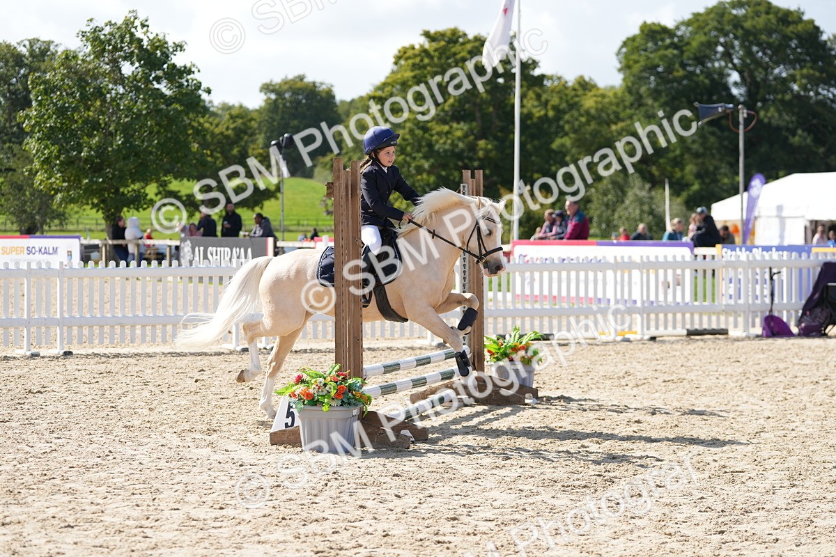 SBM_17962 - J58 - Clear Round 50cm