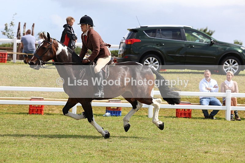 3E7A9799 - Class 5: Rising Star Lightweight/Heavyweight Cobs