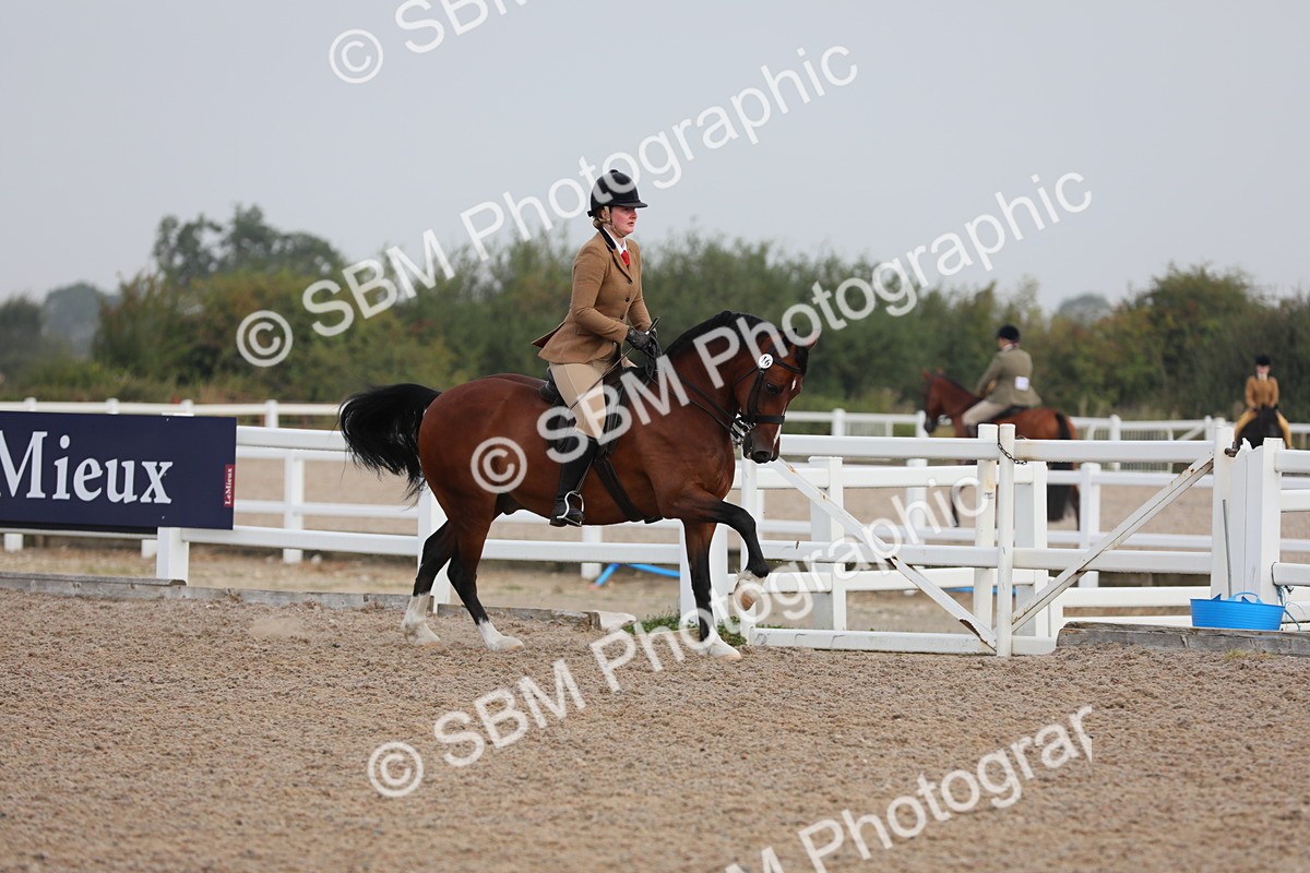 SBM_10005 - Class 302 Ridden M&M -Large Breeds