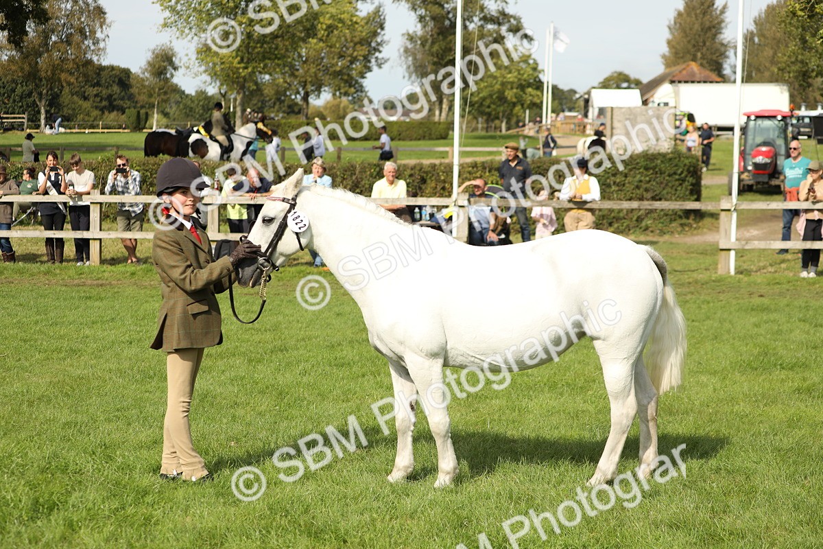 SBM_68639 - S40 - Junior Handler 9-12 Years