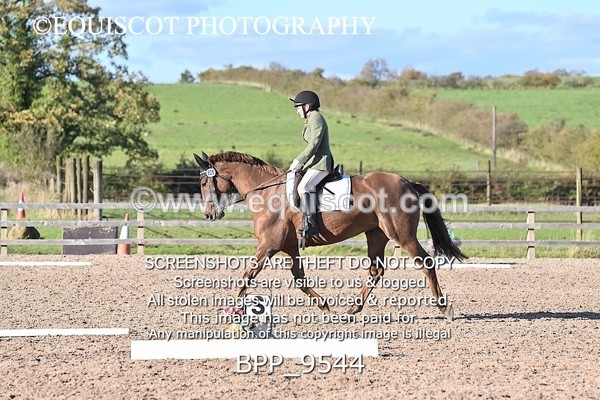 BPP_9544 - SHORT ARENA