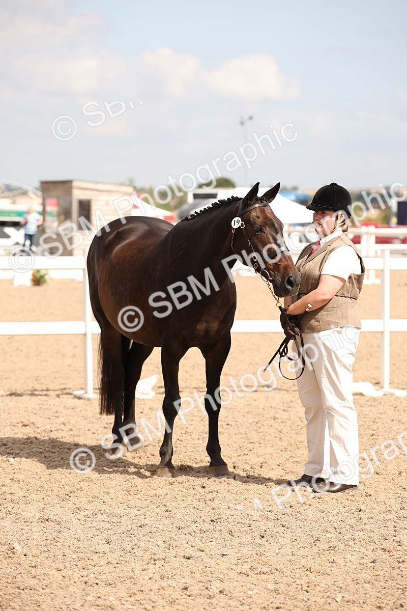SBM_04654 - Class 20 IH Veteran